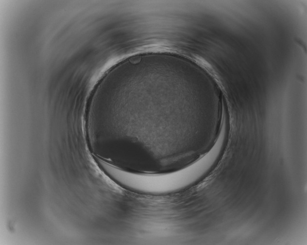 X0000100361334200806061129