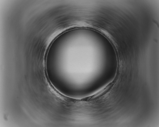 X0000100361335200806061129