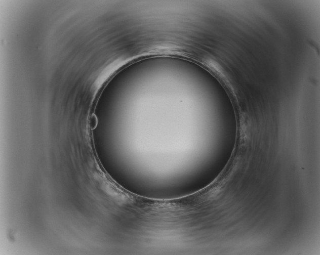 X0000100361336200806061129