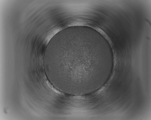 X0000100361337200806061129