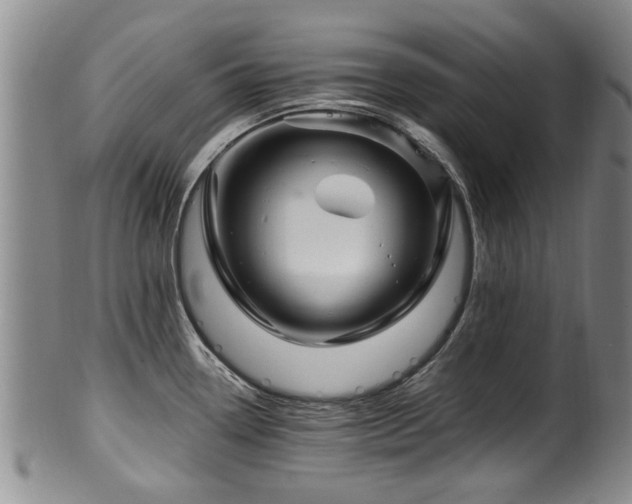 X0000100361338200806061129