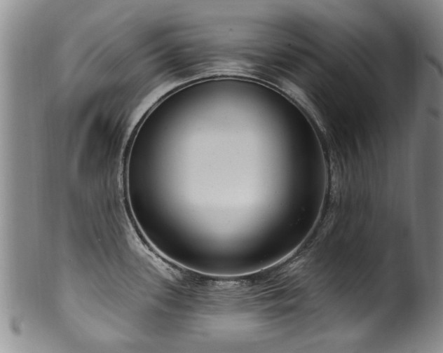 X0000100361339200806061129