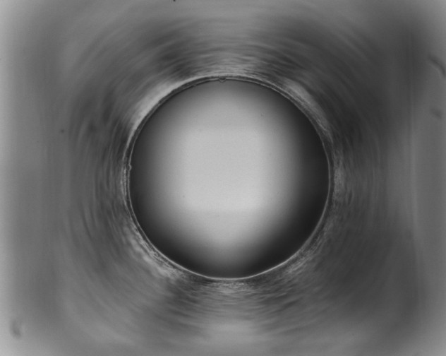 X0000100361340200806061129