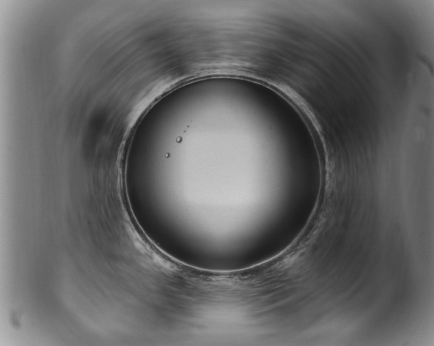 X0000100361341200806061129