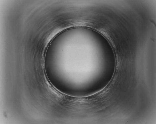 X0000100361342200806061129