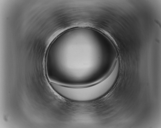 X0000100361343200806061129