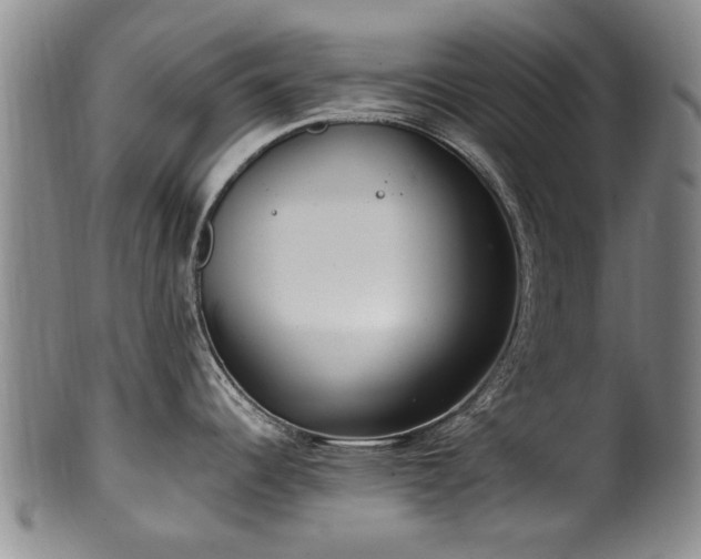 X0000100361344200806061129