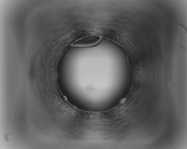 X0000100361345200806061128