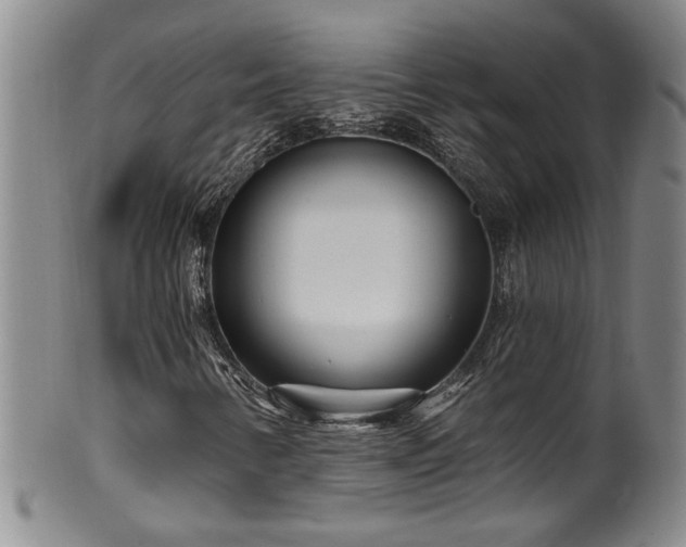 X0000100361346200806061128