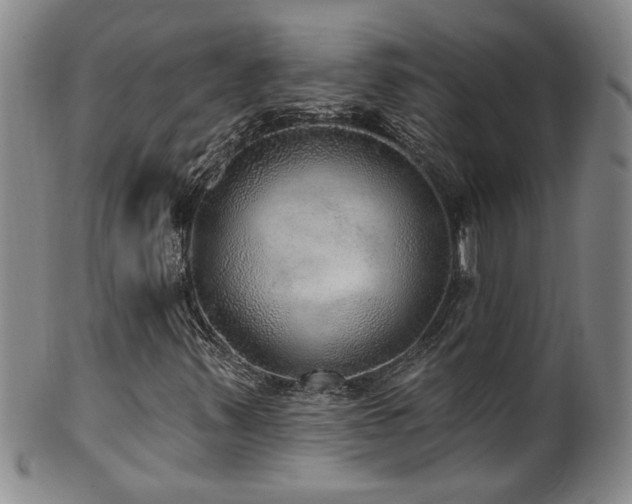 X0000100361347200806061128