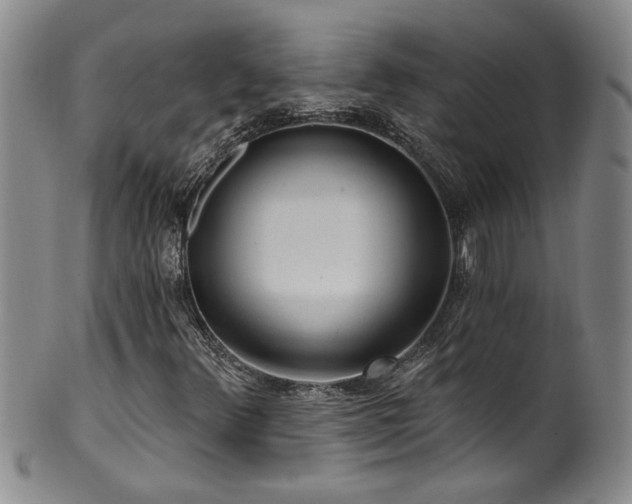 X0000100361348200806061128