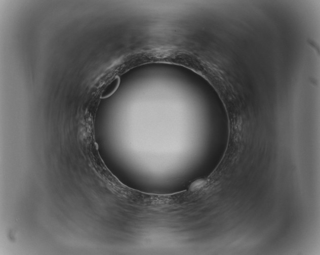 X0000100361349200806061128