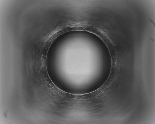 X0000100361350200806061128
