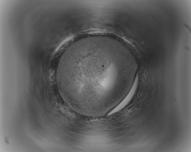 X0000100361351200806061128