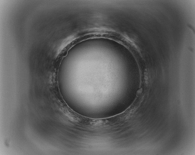X0000100361352200806061128