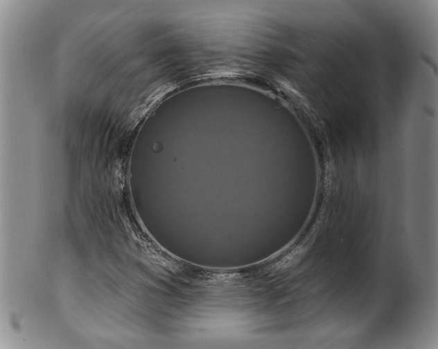 X0000100361353200806061128