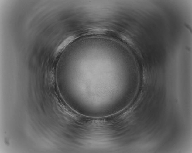 X0000100361354200806061128