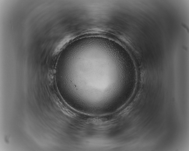 X0000100361355200806061128