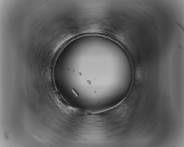 X0000100361356200806061128