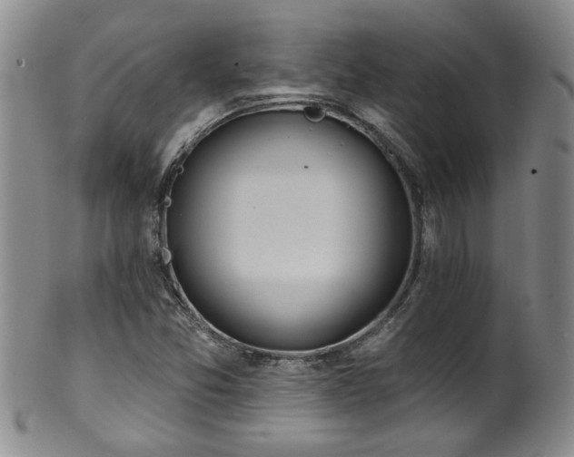 X0000100361357200806061128