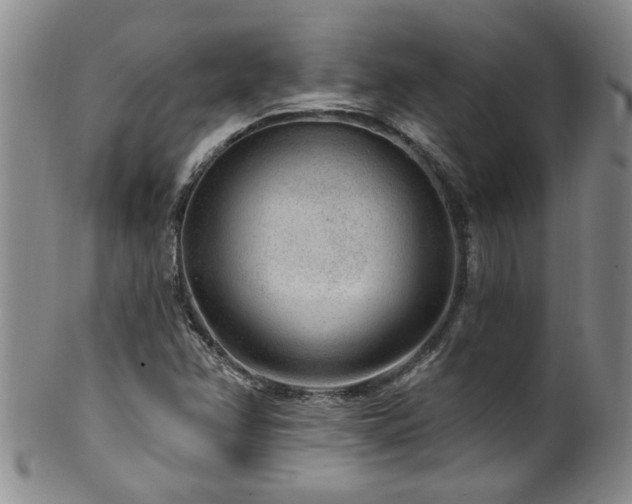 X0000100361358200806061128