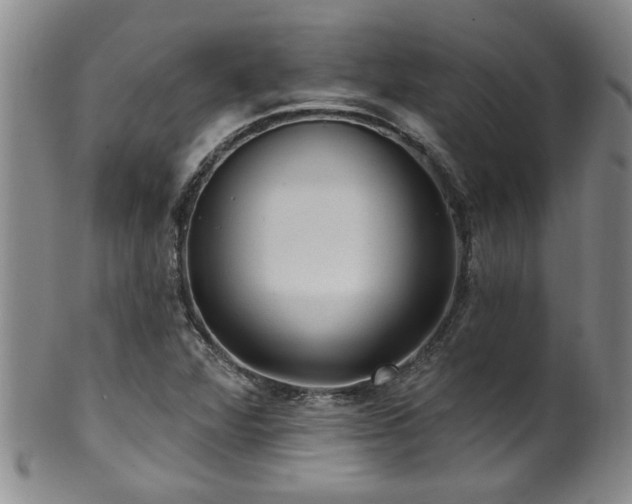 X0000100361360200806061128