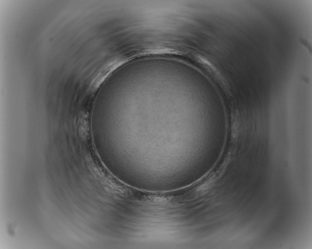 X0000100361361200806061128