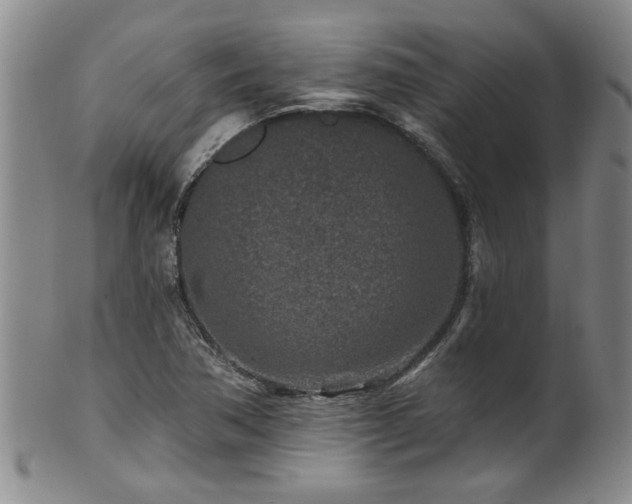 X0000100361362200806061128