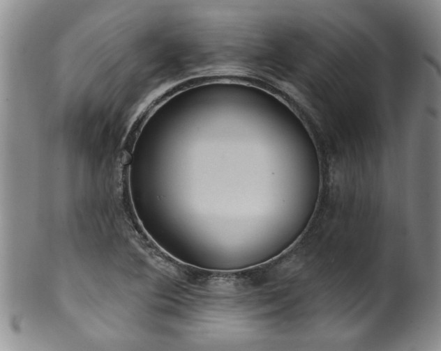 X0000100361364200806061128