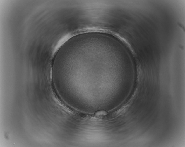 X0000100361365200806061128