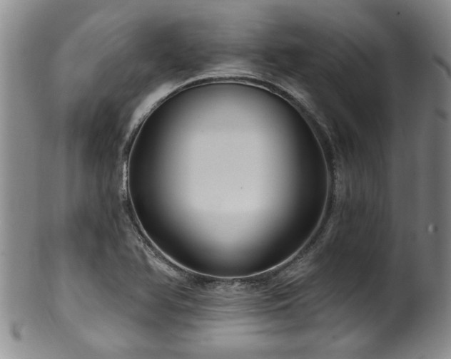 X0000100361366200806061128