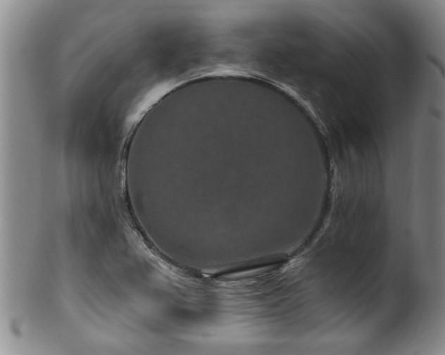 X0000100361367200806061128