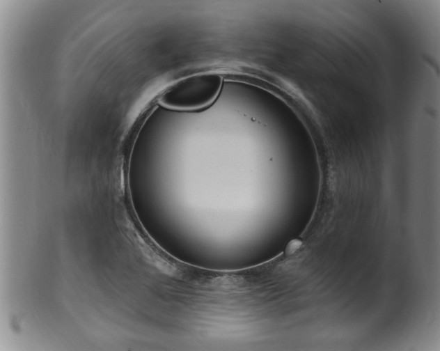 X0000100361368200806061128