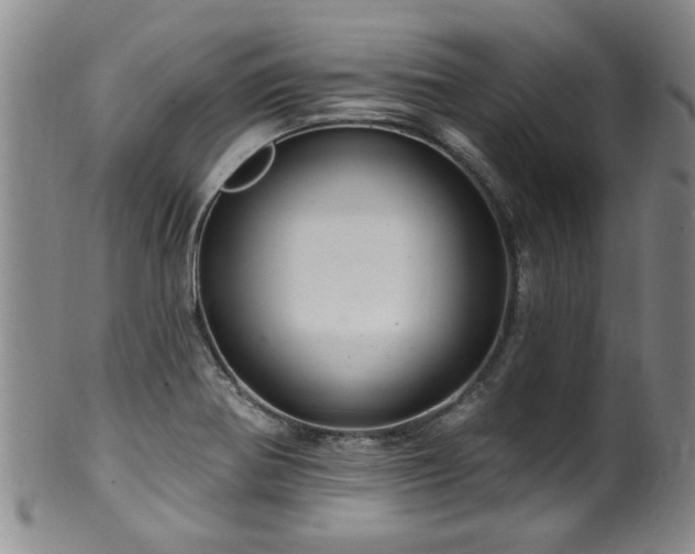 X0000100361370200806061128