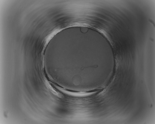 X0000100361371200806061128