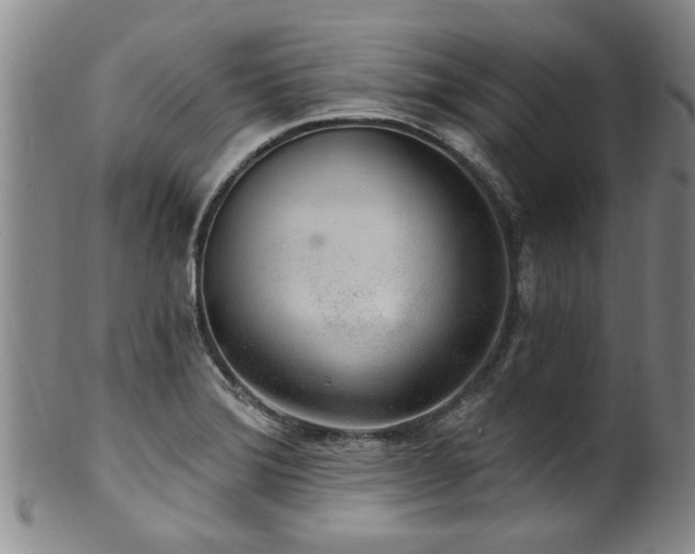X0000100361372200806061128