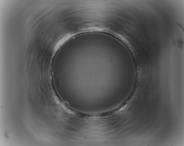 X0000100361373200806061128