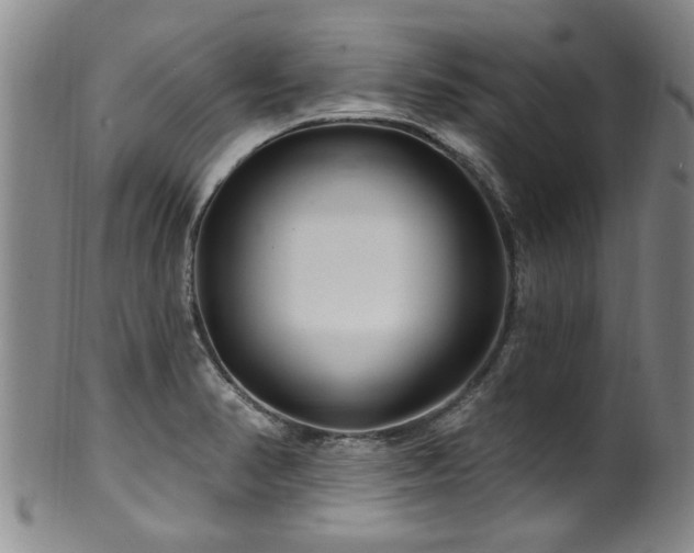 X0000100361374200806061128