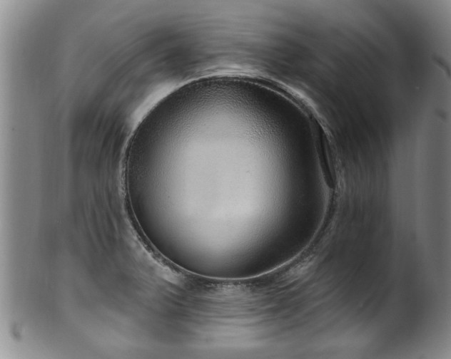 X0000100361375200806061128
