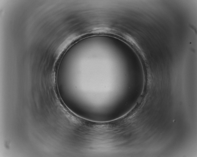 X0000100361376200806061128