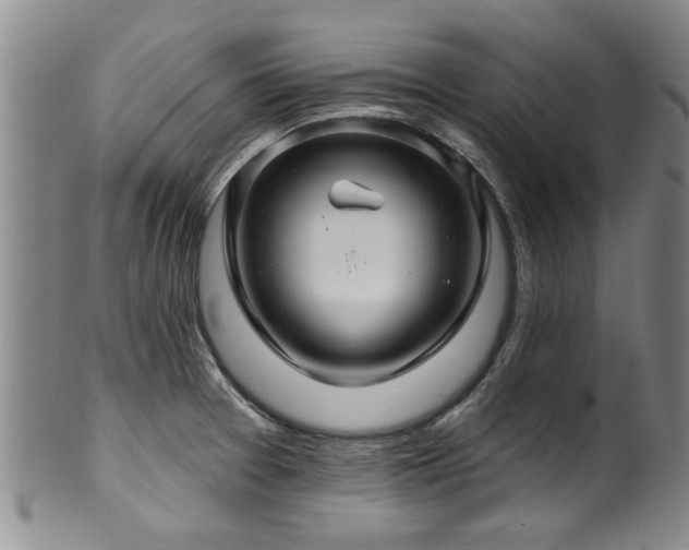 X0000100361377200806061128