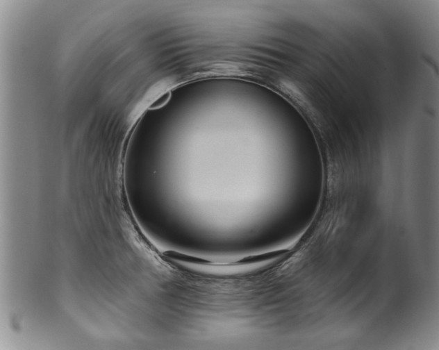 X0000100361378200806061127