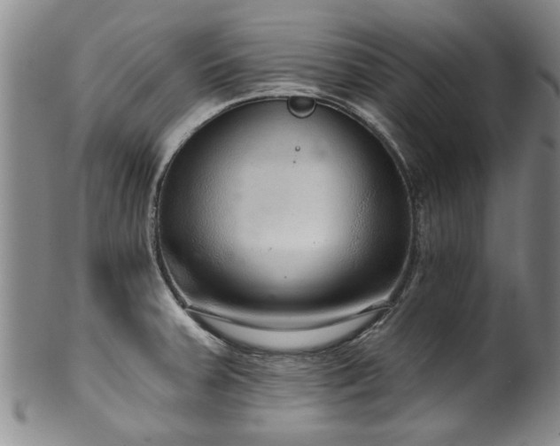 X0000100361379200806061127