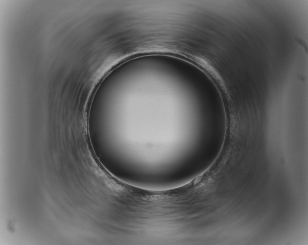 X0000100361380200806061127