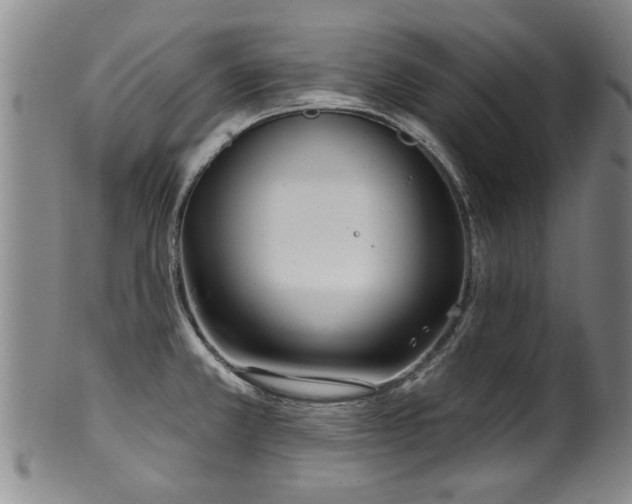 X0000100361381200806061127