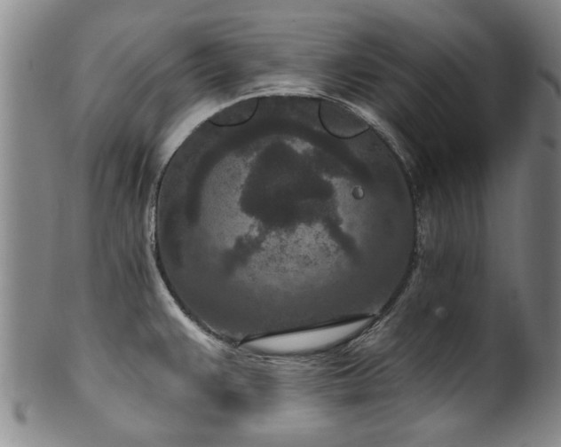 X0000100361383200806061127