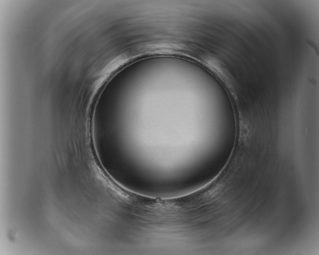 X0000100361384200806061127