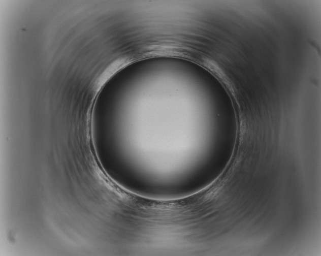 X0000100361386200806061127