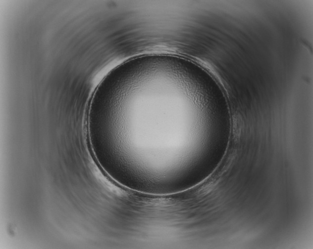 X0000100361387200806061127
