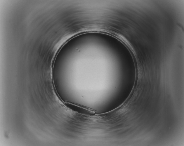 X0000100361388200806061127